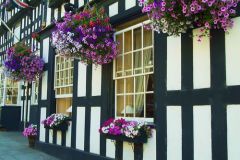 Ledbury black and white cottage