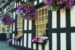 Ledbury black and white cottage