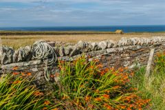 Drystone wall at Longaglebe