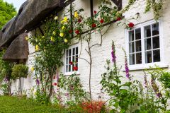 Thatched cottage, Nether Wallop