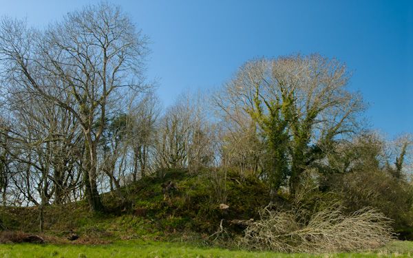 Nevern Castle photo, Nevern Castle