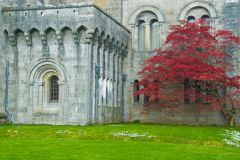 Photo of Penrhyn Castle