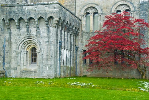 Penrhyn Castle photo, Penrhyn Castle