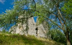 Photo of Sutton Valence Castle