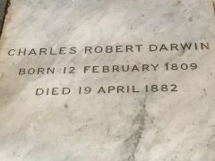 Charles Darwin memorial