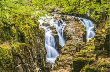 Black Linn Falls, The Hermitage, Perthshire