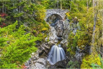 Falls of Bruar, Perthshire