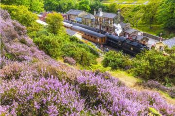 North Yorkshire Moors Railway, Goathland