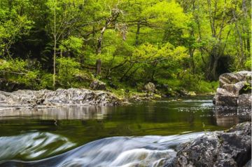 Linn of Tummel, Perthshire