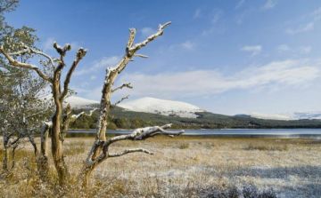 Loch Morlich, Cairngorms