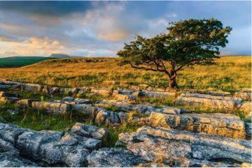 Winskill Stones, Yorkshire Dales Prints