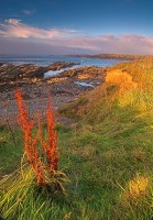 Photo of summer sunset at Birsay, Orkney Islands.