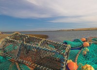 Photo of lobster pots, St Mary's, Orkney