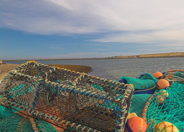 Lobster pots drawn up on the pier at St Mary's. The Churchill Barriers are in the background. Photo of the Orkney Islands, Scotland.