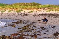 Playing on the beach at Dingleshowe, Orkney Mainland