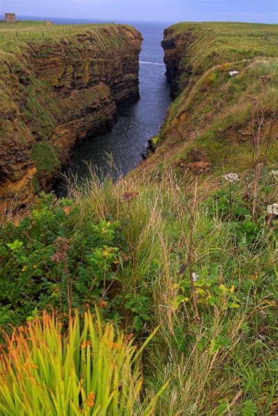 A Geo is a deep narrow cleft in the cliff, eroded by the sea. Photo of Longaglebe Geo, Birsay, Orkney Mainland, Scotland.