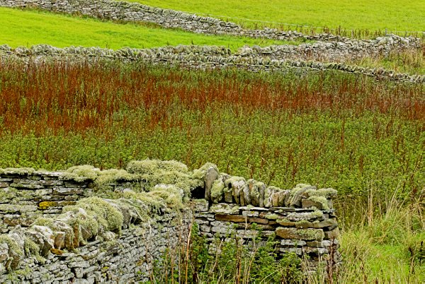 Field patterns beside Midhowe chambered cairn, Rousay. Photo of the Orkney Islands, Scotland.