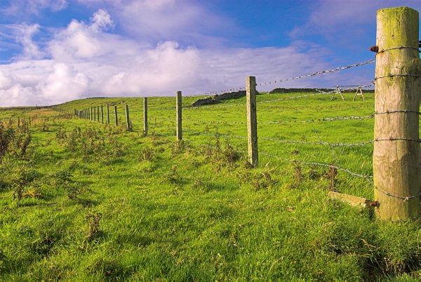 Fields near Yetnasteen; a standing stone is located just beyond the field to the right of this photo. Photo taken on Rousay, Orkney Islands, Scotland.