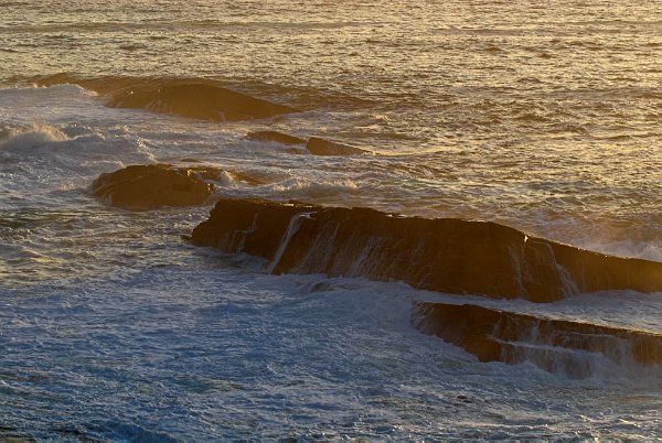 The setting sun casts lovely golden light over the rocks at Yesnaby - one of the real beauty spots on Orkney Mainland. Photo of the Orkney Islands, Scotland.