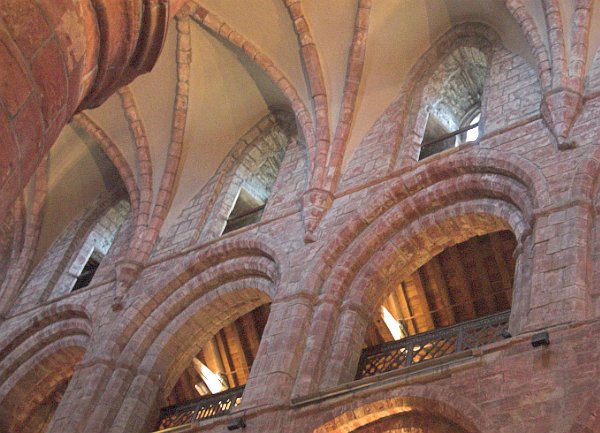 Triforium and clerestory of the nave showing some of the roof vaulting. Photo of St Magnus Cathedral, Kirkwall, Orkney Islands, Scotland.