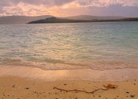 Stock photo of the Coral Beach, near Dunvegan, on the Isle of Skye, Scotland. Part of the Britain Express Travel and Heritage Picture Library, Scotland collection.