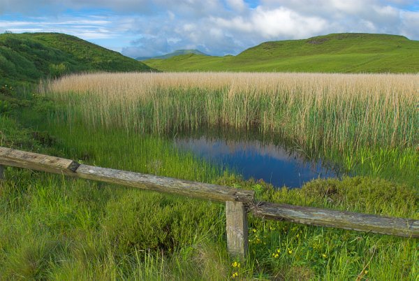 Massed reeds almost extinguish this blue pool. Photo from the Britain Express Travel and Heritage Picture Library, Scotland collection.