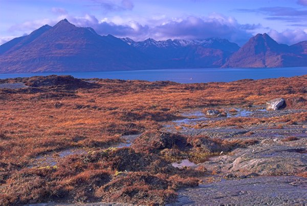 The seashore at Elgol, with the Cuillin Hills in the background. Stock photo of the coast at Elgol on the Isle of Skye, Scotland. Part of the Britain Express Travel and Heritage Picture Library, Scotland collection.