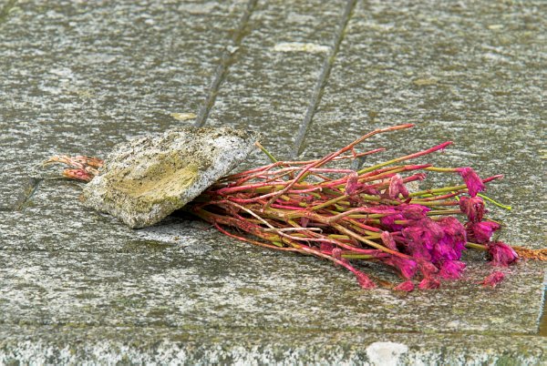 A faded bouquet of flowers is weighed down with a rock on the memorial to Flora MacDonald at Kilmuir cemetery. Stock photo of Flora Macdonald's tomb, Kilmuir on the Isle of Skye, Scotland. Part of the Britain Express Travel and Heritage Picture Library, Scotland collection.