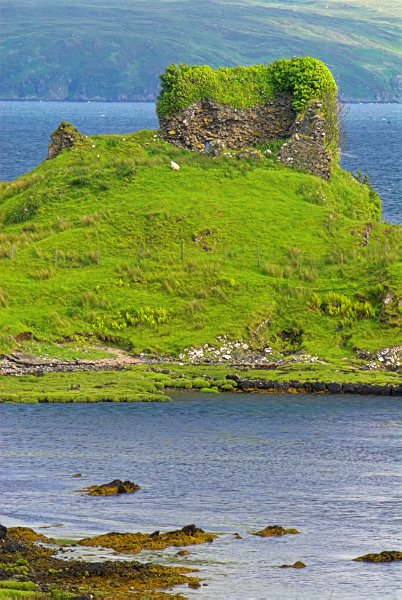 A closer view of the crumbling walls of Knock Castle covered in vegetation. Photo of Knock Castle, Isle of Skye, Scotland. Part of the Britain Express Travel and Heritage Picture Library, Scotland collection.