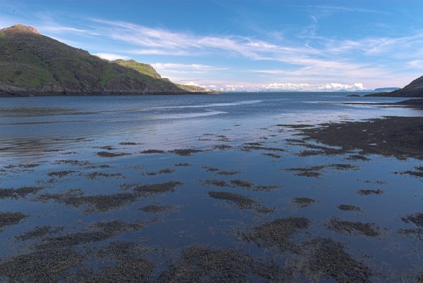 Seaweed floats on Loch Coriusk, in the heart of the Black Cuillins. Stock photo of Loch Coriusk on the Isle of Skye, Scotland. Part of the Britain Express Travel and Heritage Picture Library, Scotland collection.