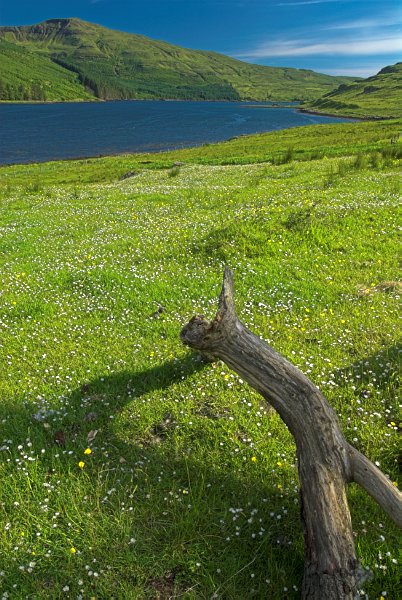 The flower-studded meadow reaches down to blue water. Stock photo of Loch Eynort on the Isle of Skye, Scotland. Part of the Britain Express Travel and Heritage Picture Library, Scotland collection.
