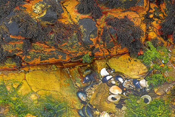 Amazing colours on the beach at Ord, on the Sleat peninsula. Stock photo of Ord on the Isle of Skye, Scotland. Part of the Britain Express Travel and Heritage Picture Library, Scotland collection.
