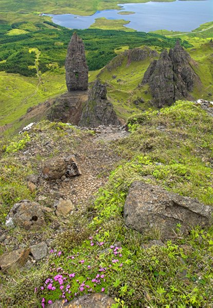Looking down on the Old Man of Storr and lush green countryside. Stock photo of the Old Man of Storr on the Isle of Skye, Scotland. Part of the Britain Express Travel and Heritage Picture Library, Scotland collection.