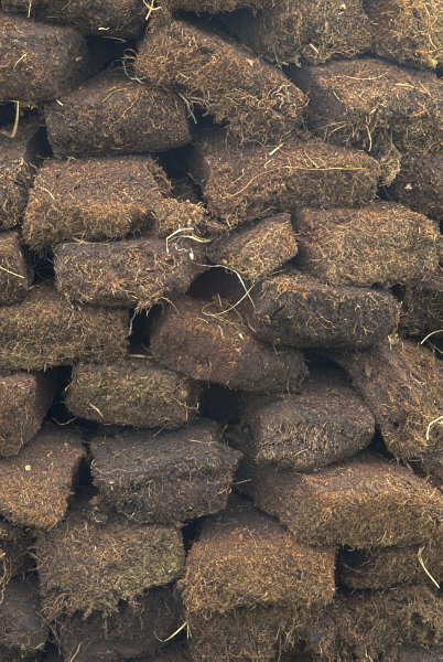 A stack of freshly cut peat, drying in the fields. Stock photo of peat cutting on the Isle of Skye, Scotland. Part of the Britain Express Travel and Heritage Picture Library, Scotland collection.