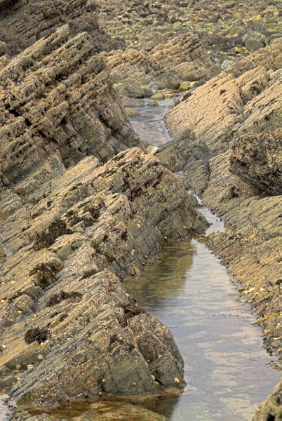This part of the coast has been tilted by geologic pressure. Stock photo of the coast at Suisnish on the Isle of Skye, Scotland. Part of the Britain Express Travel and Heritage Picture Library, Scotland collection.