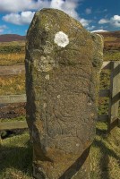 Stock photo of Pictish stone at Tote, on the Isle of Skye, Scotland. Part of the Britain Express Travel and Heritage Picture Library, Scotland collection.