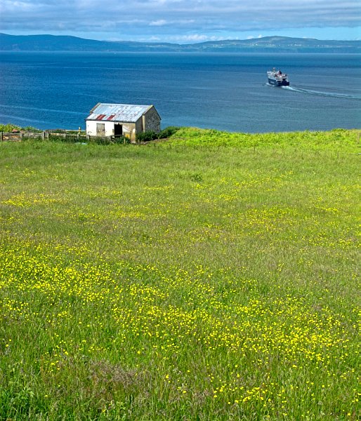 A field of summer flowers rises above the sea. Stock photo of the coast at Uig on the Isle of Skye, Scotland. Part of the Britain Express Travel and Heritage Picture Library, Scotland collection.