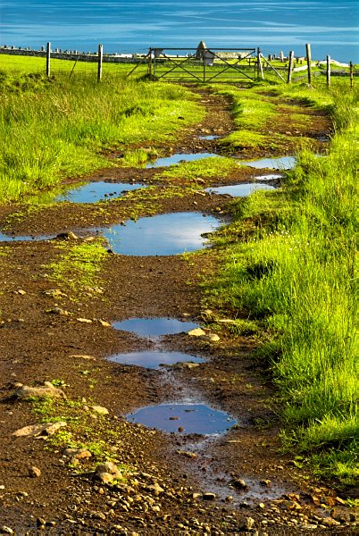 Puddles in a farm track reflect blue sky and clouds.  You can just see our destination, the ruined church at Trumpan, beyond the farm gate. Stock photo of the Waternish peninsula on the Isle of Skye, Scotland. Part of the Britain Express Travel and Heritage Picture Library, Scotland collection.